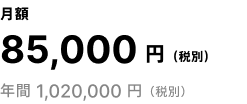 月額 85,000円（税別） 年間 1,020,000円（税別）